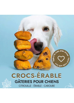 Gâterie pour chien à l'érable