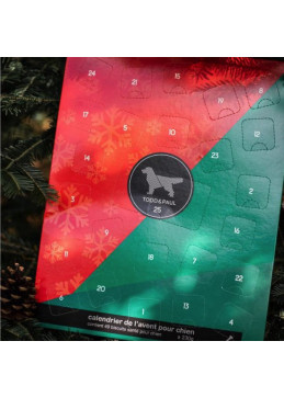 Calendrier de l'avent pour chien