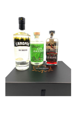 Caja de regalo Gin Trio...