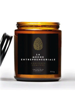 Vela de hoja perenne