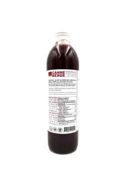 concentrado de jugo de arándano