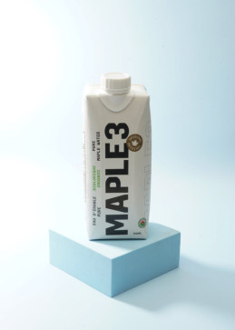 botella de agua de arce 500ml