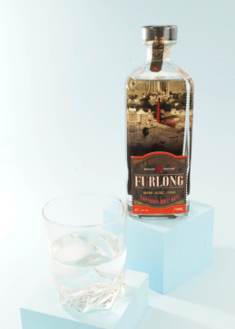 gin furlong