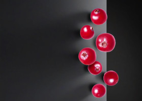 Cranberry