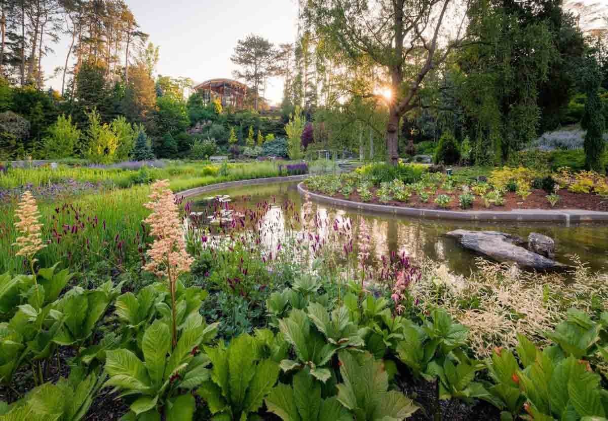 les jardins botaniques canadiens 