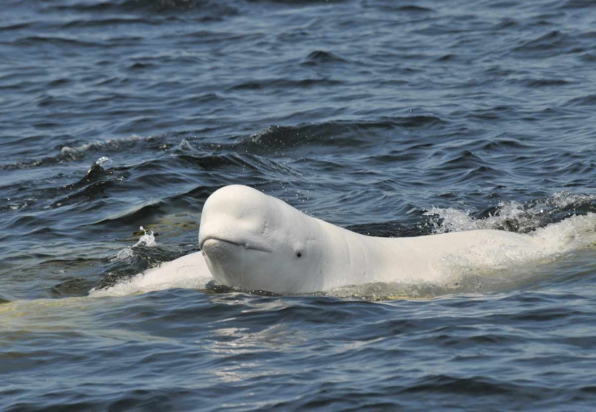 parcs nationaux marins