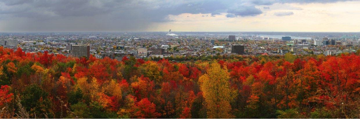 été indien à Montreal été indien à Montreal