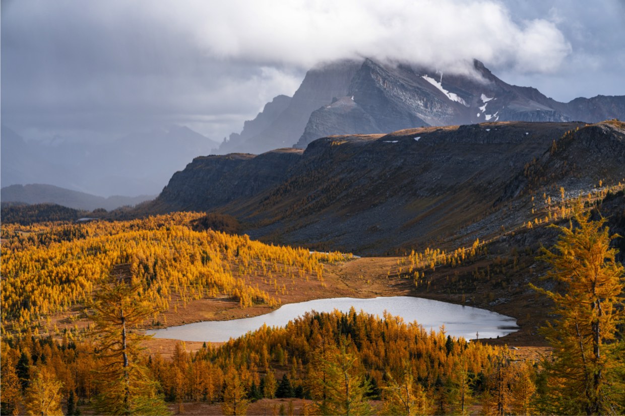 Sunshine Meadows Sunshine Meadows