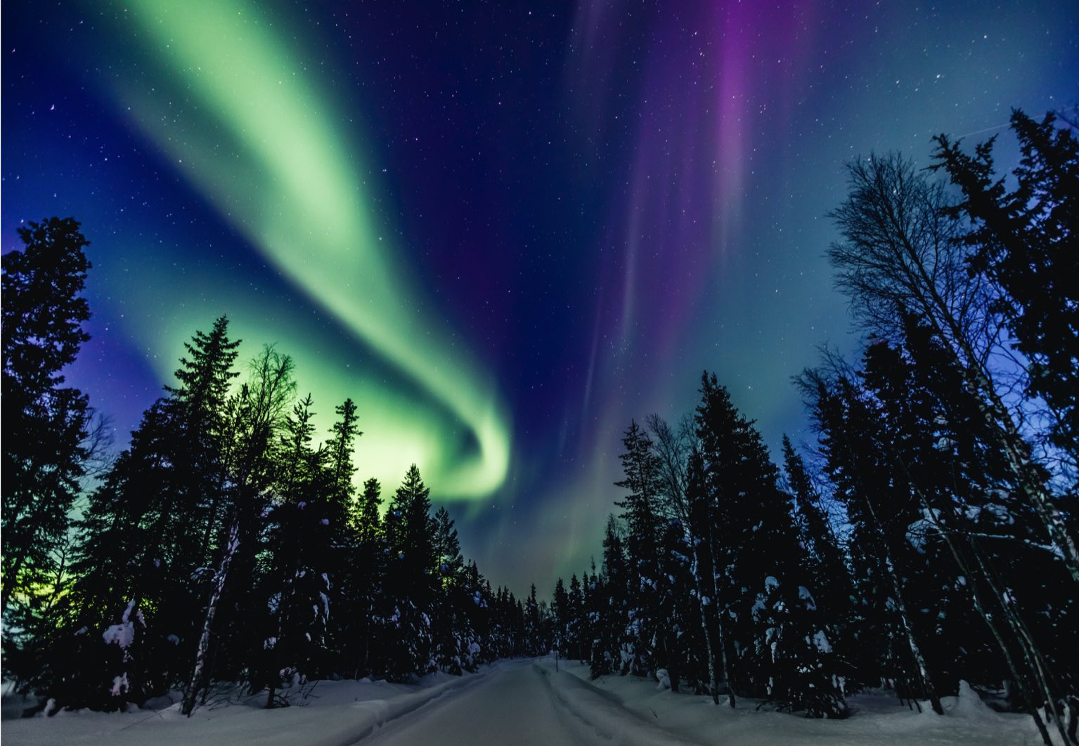 Aurores boreales en forêt