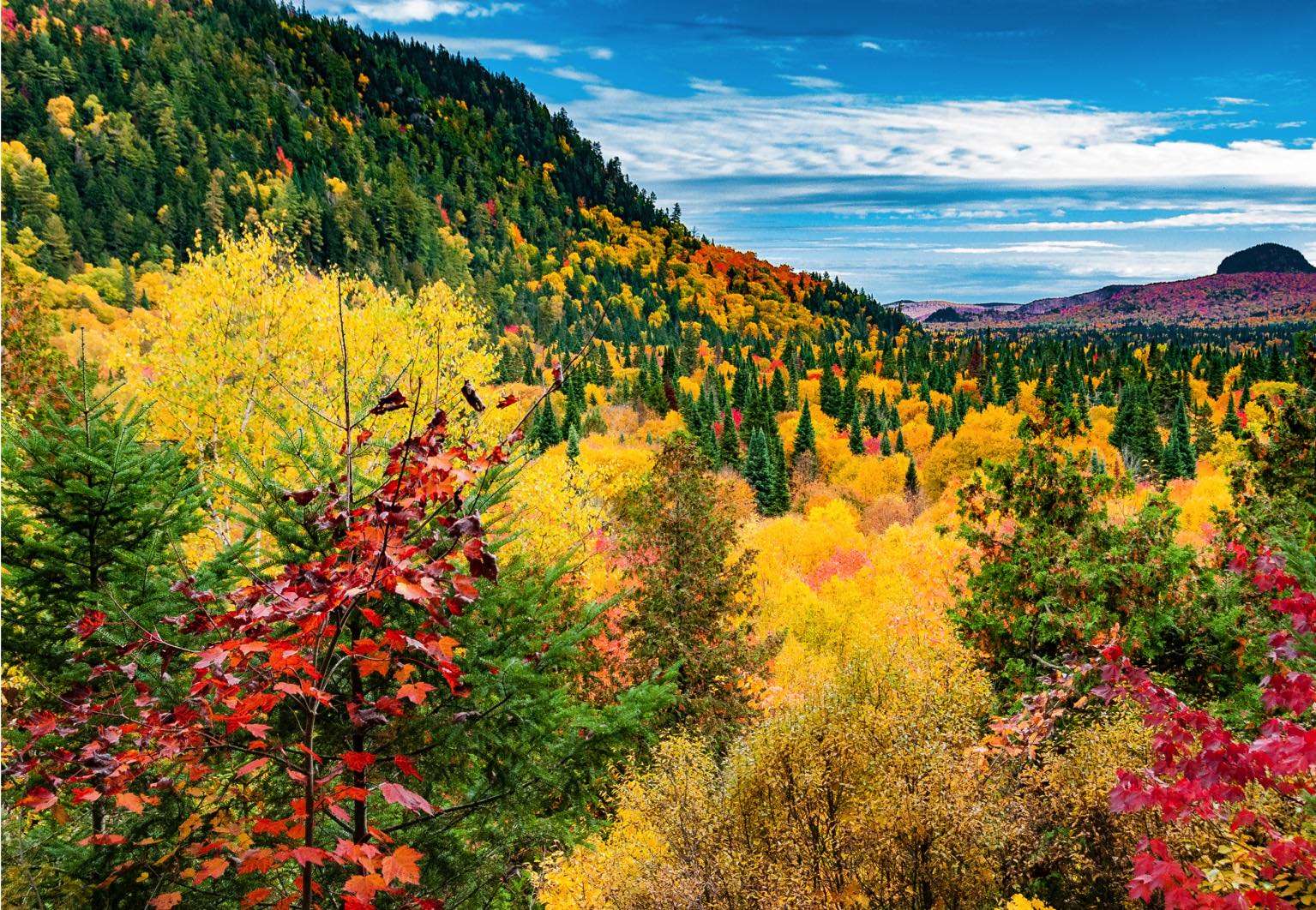 Été indien au mont tremblant