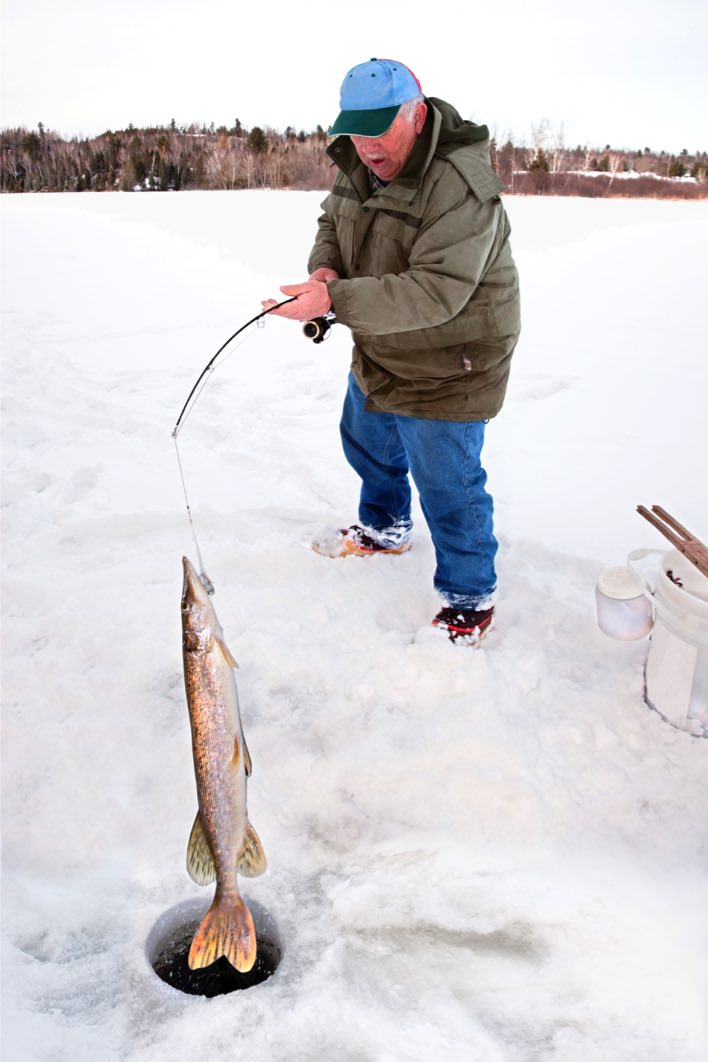 poisson sortie sous la glace