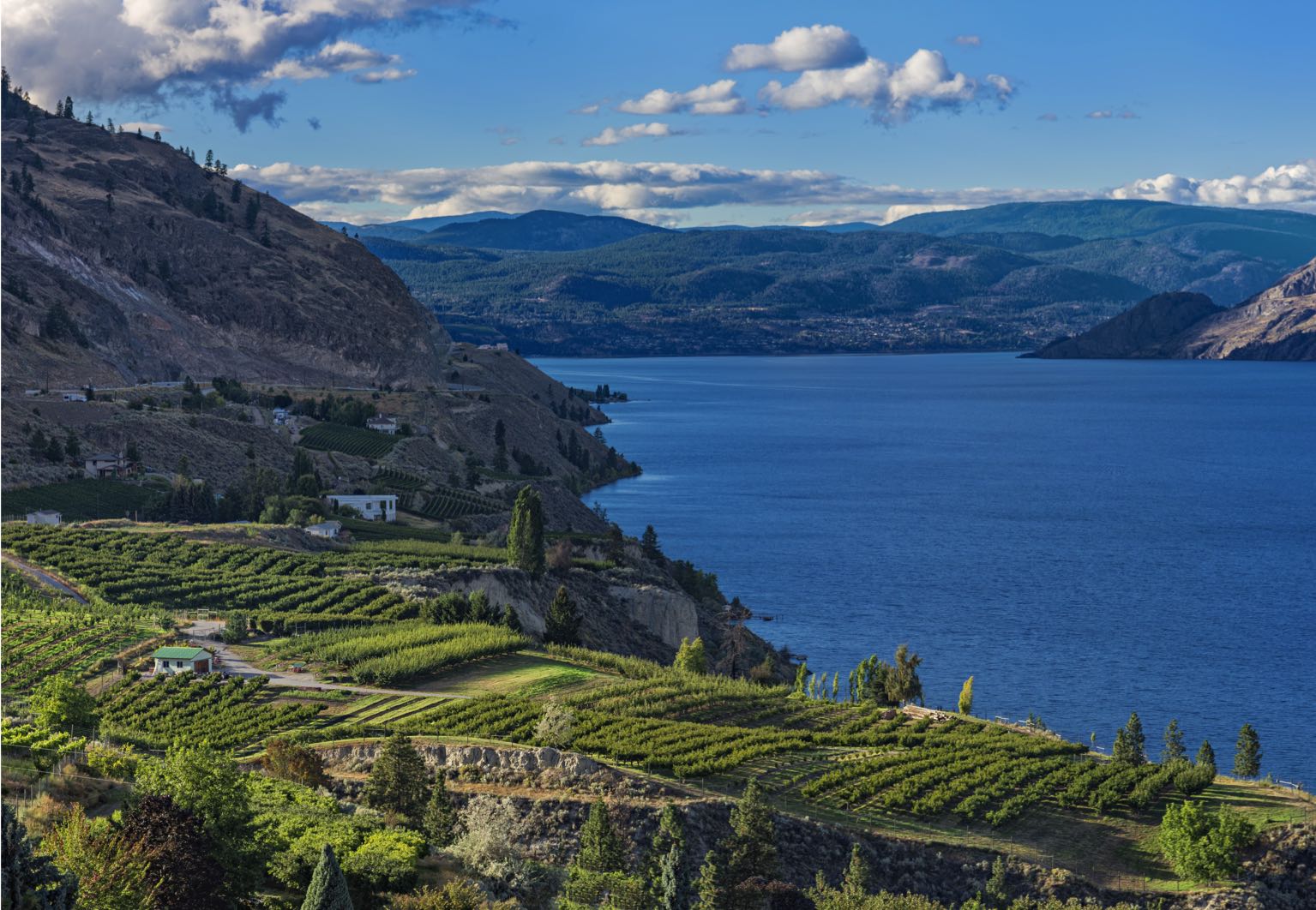 vigne au bord d'un lac au canada