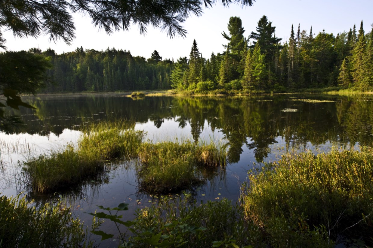 Parc provincial Algonquin Parc provincial Algonquin