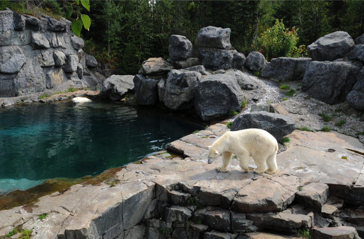 Zoo