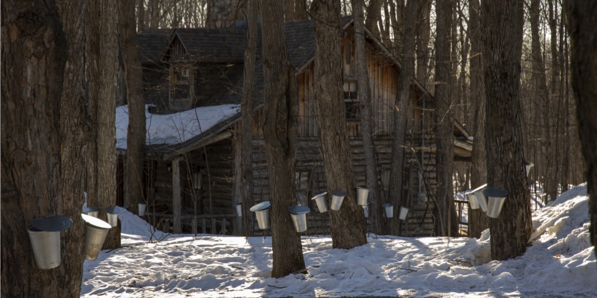 Cabane à sucre à Québéc Cabane à sucre à Québéc