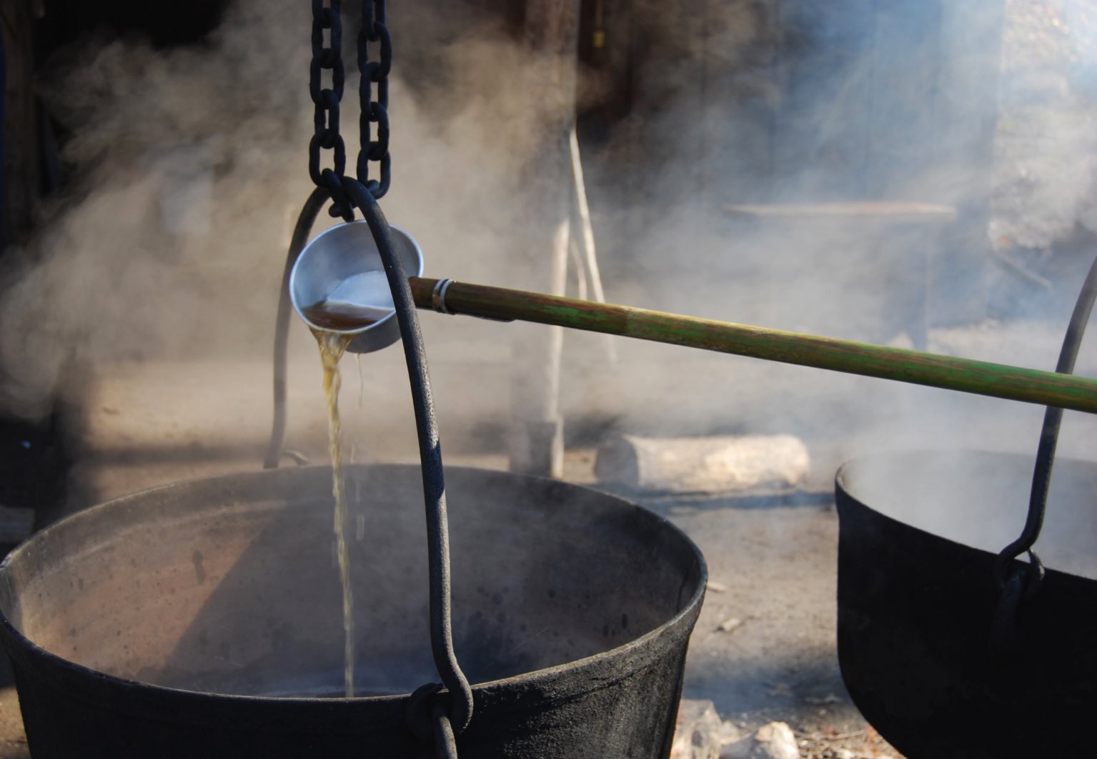 Qu'est-ce que le sirop d'érable bio? Comment est-il fabriqué?-Tout savoir sur le sirop d'érable