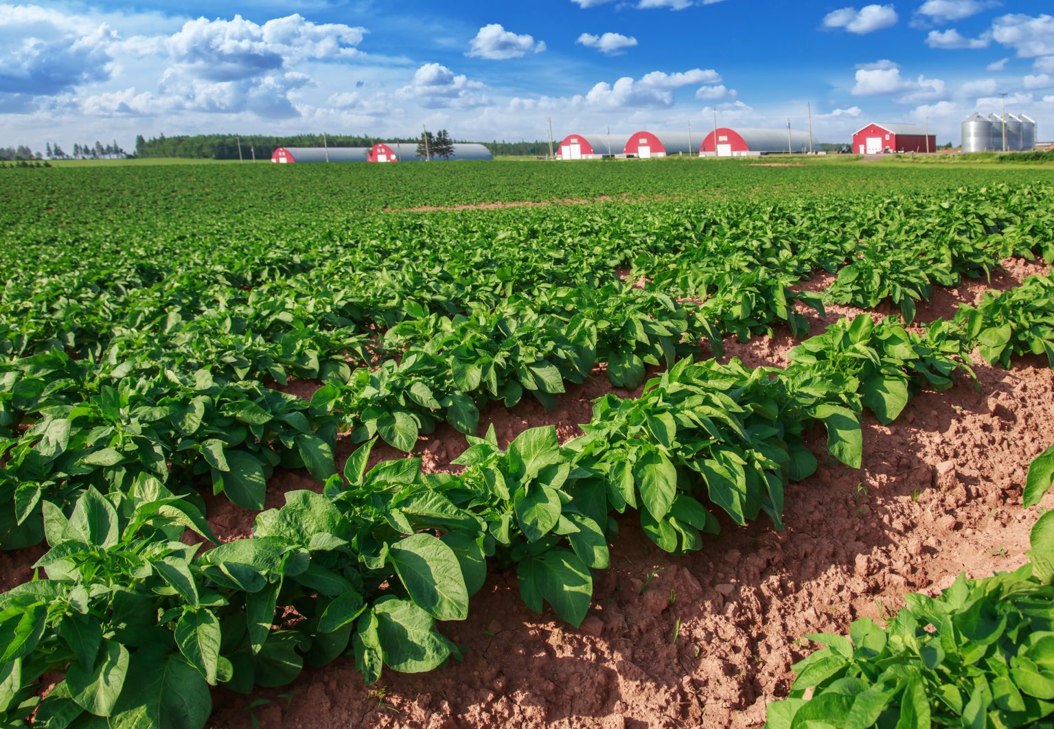 Agriculture au Québec