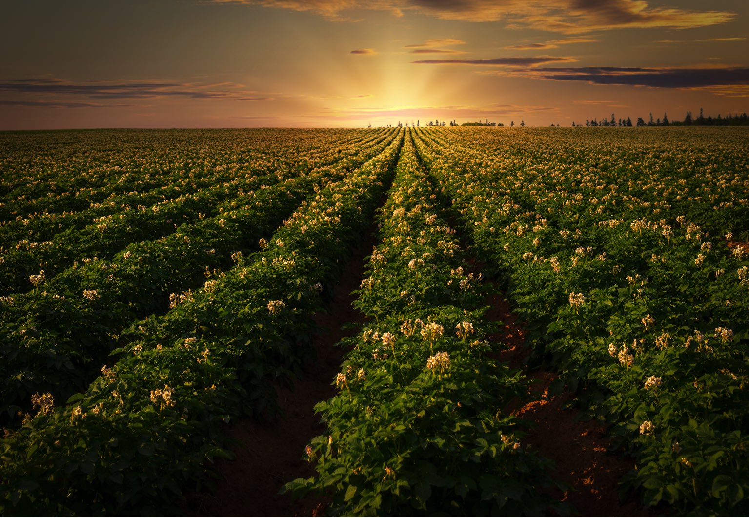 agriculture au canada