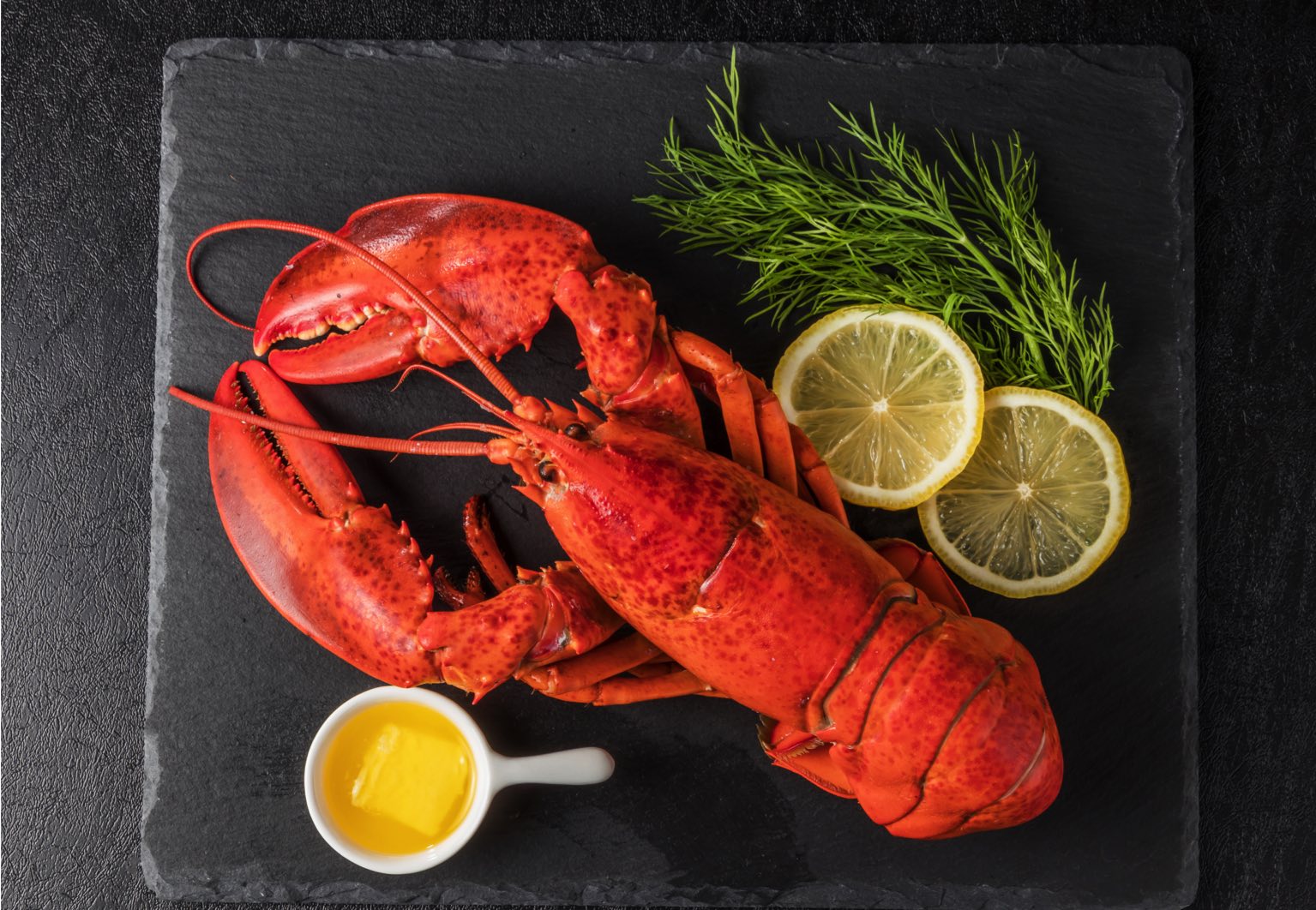 Homard au Québec
