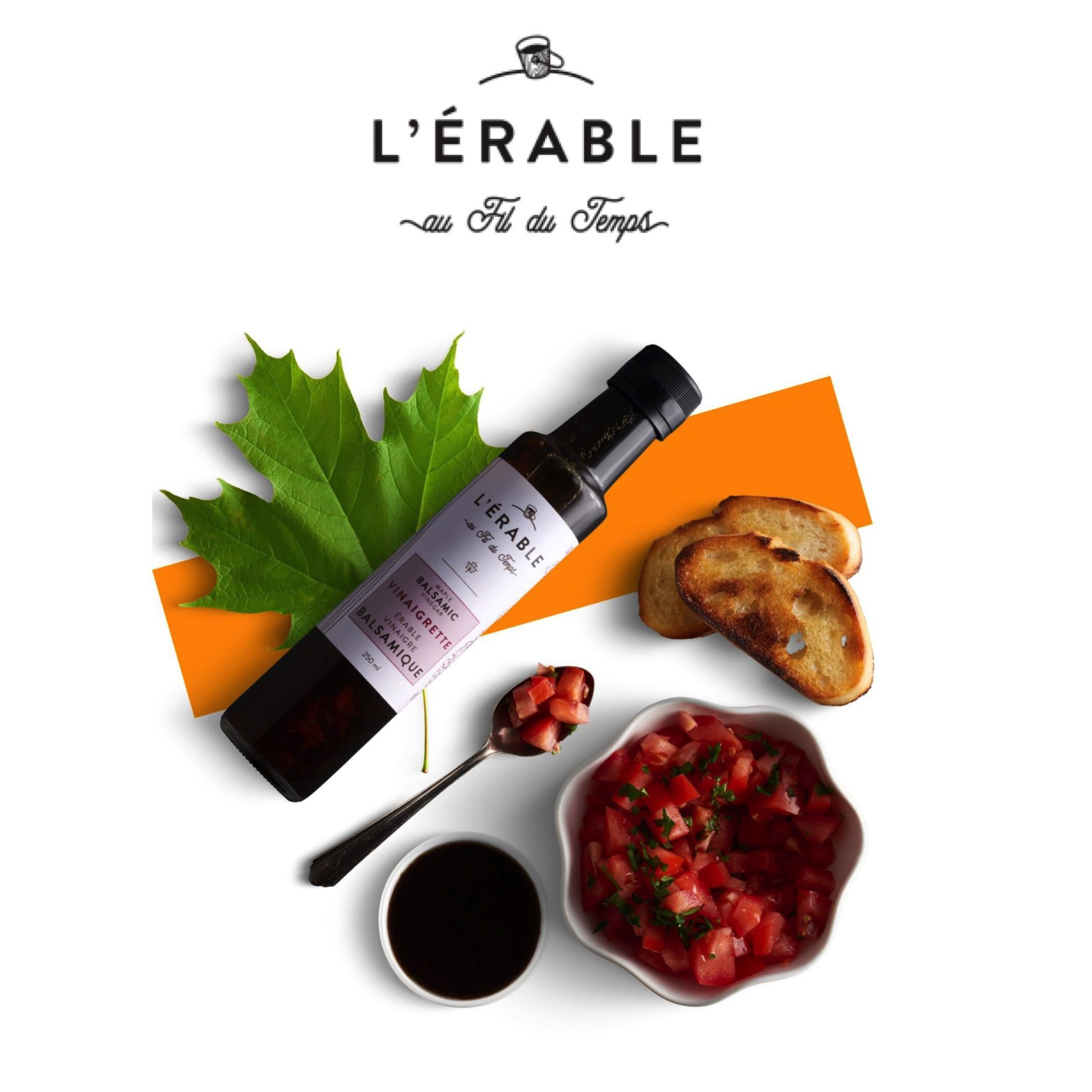L'érable au fil du temps