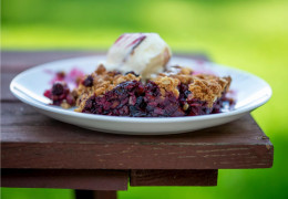 Saskatoon-Beerenkuchen