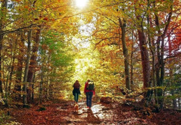 ¿Qué actividades de ecoturismo hacer en Canadá?
