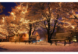 Luces de invierno en Canadá