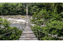 Reservas de parques nacionales en Canadá: preservando la riqueza natural y cultural del Norte