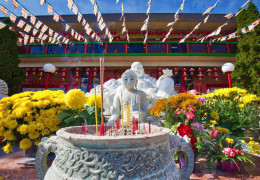 Festivales de cultura asiática en Canadá: celebraciones de las tradiciones asiáticas