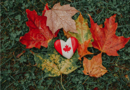 La hoja de arce, el emblema de Canadá