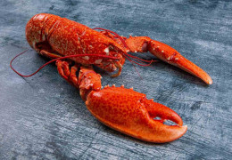 Delicias de la costa este canadiense: langosta, almejas y ostras