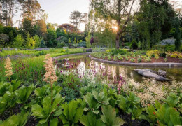 Giardini botanici canadesi: bellezza e diversità delle piante