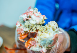 Receta canadiense de macarrones con queso y cangrejo de las nieves