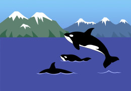 Reservas naturales marinas en Canadá